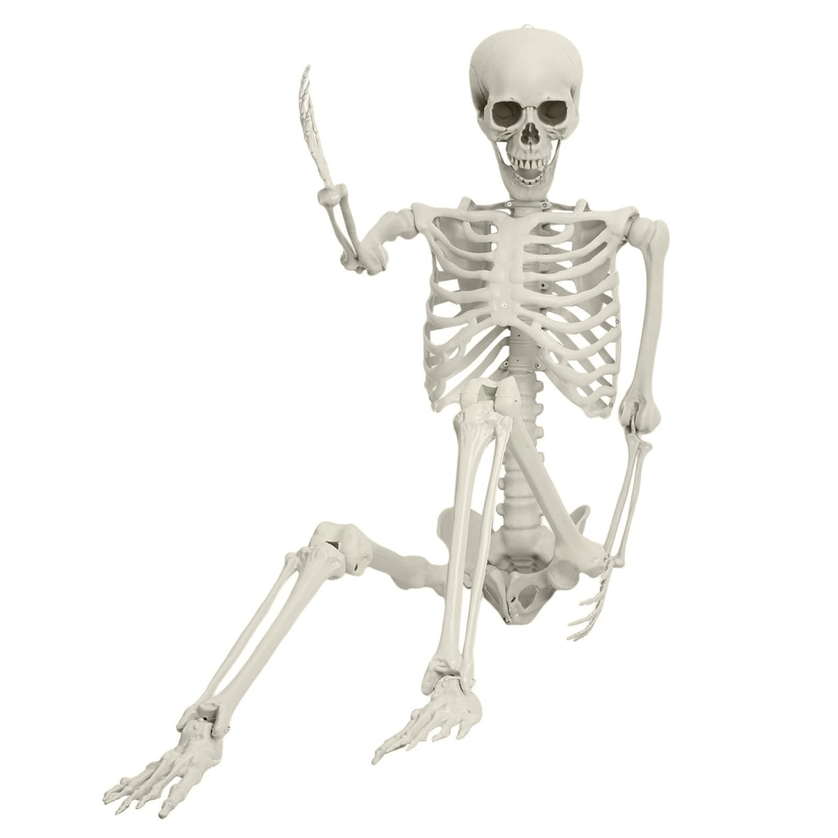 5.4ft Posable Plastic Skeleton Y2593