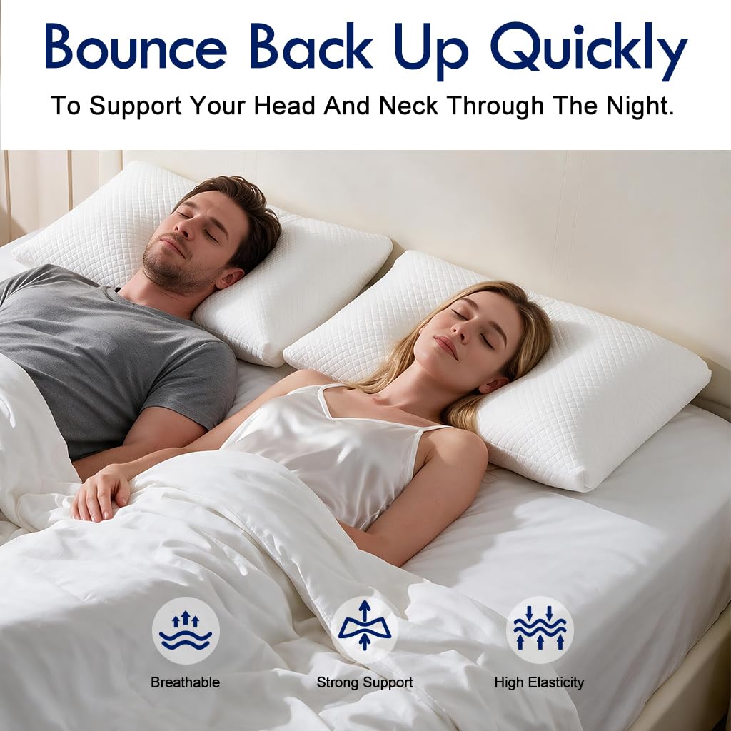 King Size Down Alternative Pillows Set of 2 S6008