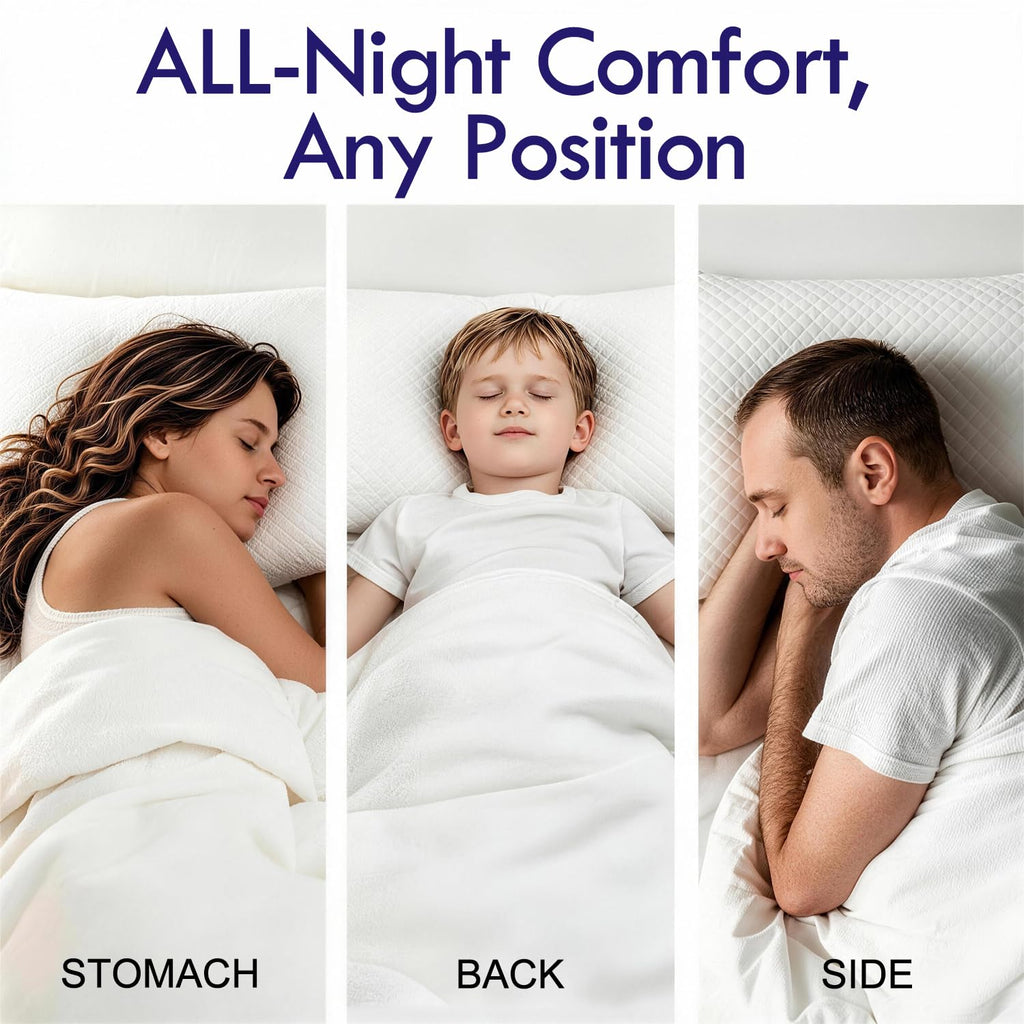 King Size Down Alternative Pillows Set of 2 S6008