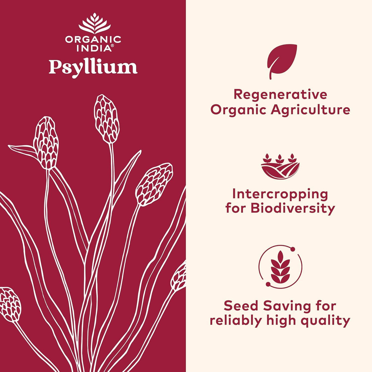 Whole Psyllium Husk Powder Organic Vegan 12 oz W8314