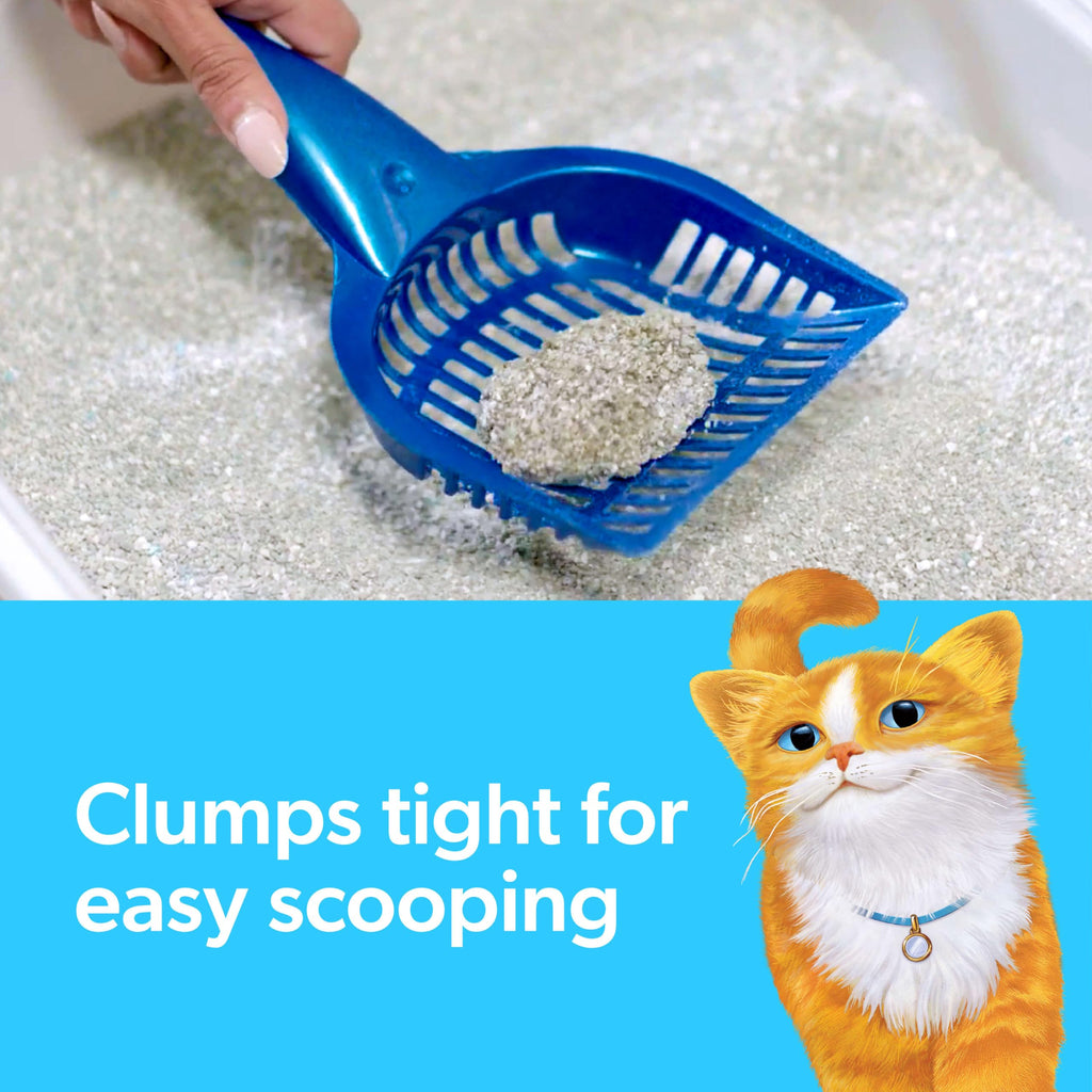 Multi Cat Clumping Cat Litter with Ammonia Block Tech 14 lb Z7948